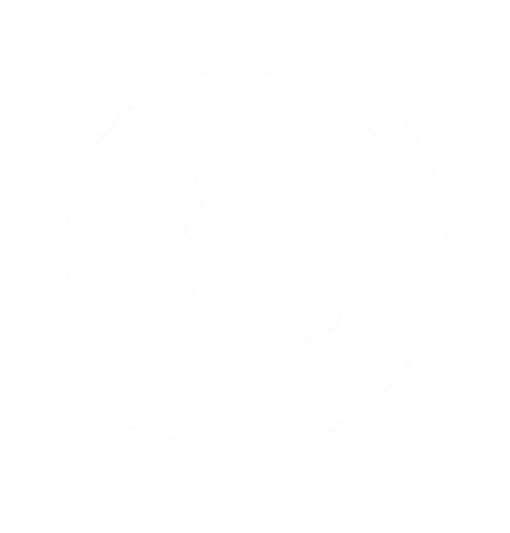 WhatsApp Icon